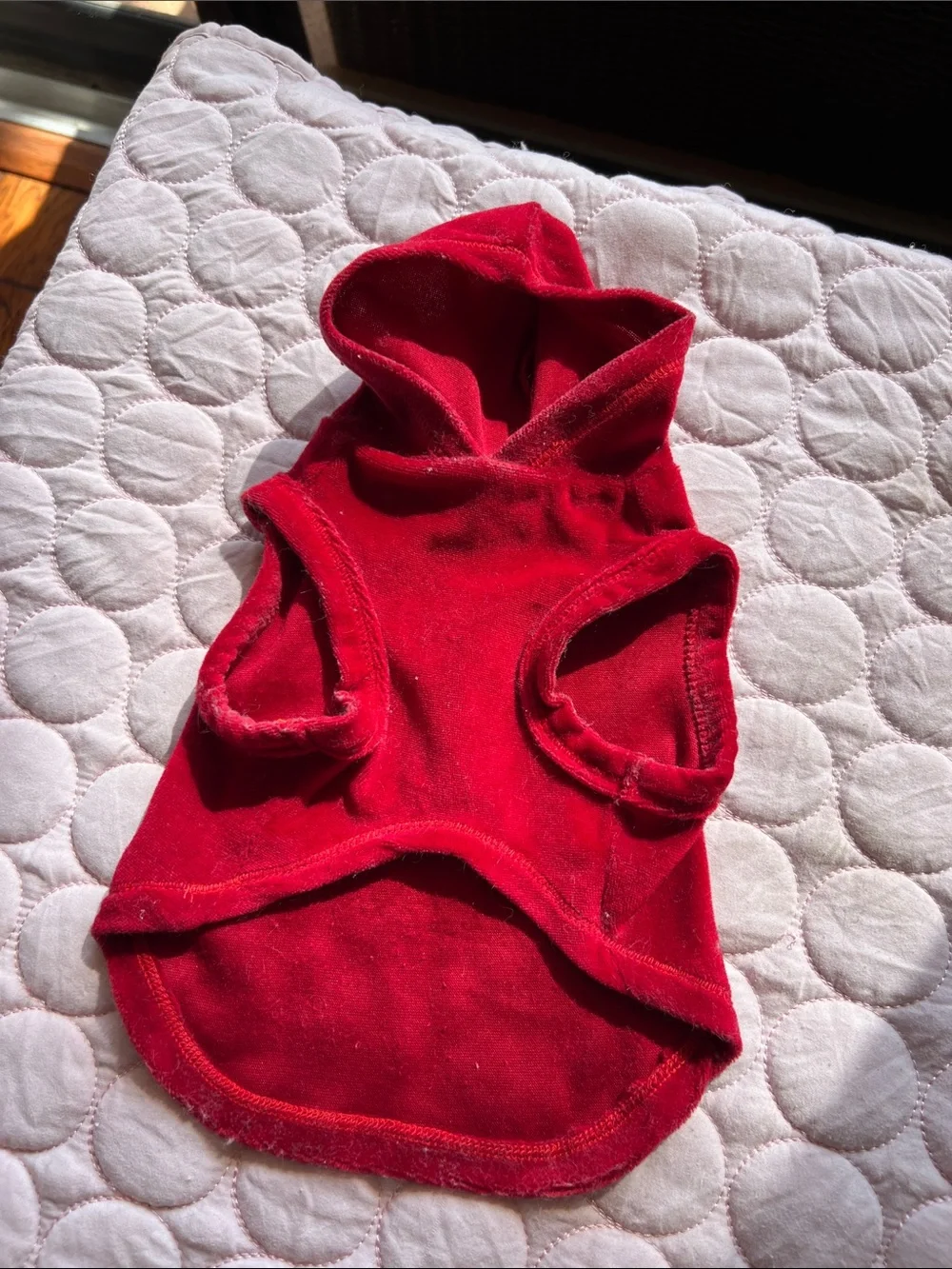 Red Rhinestone Crown Hooded Pet Sweatshirt top XS